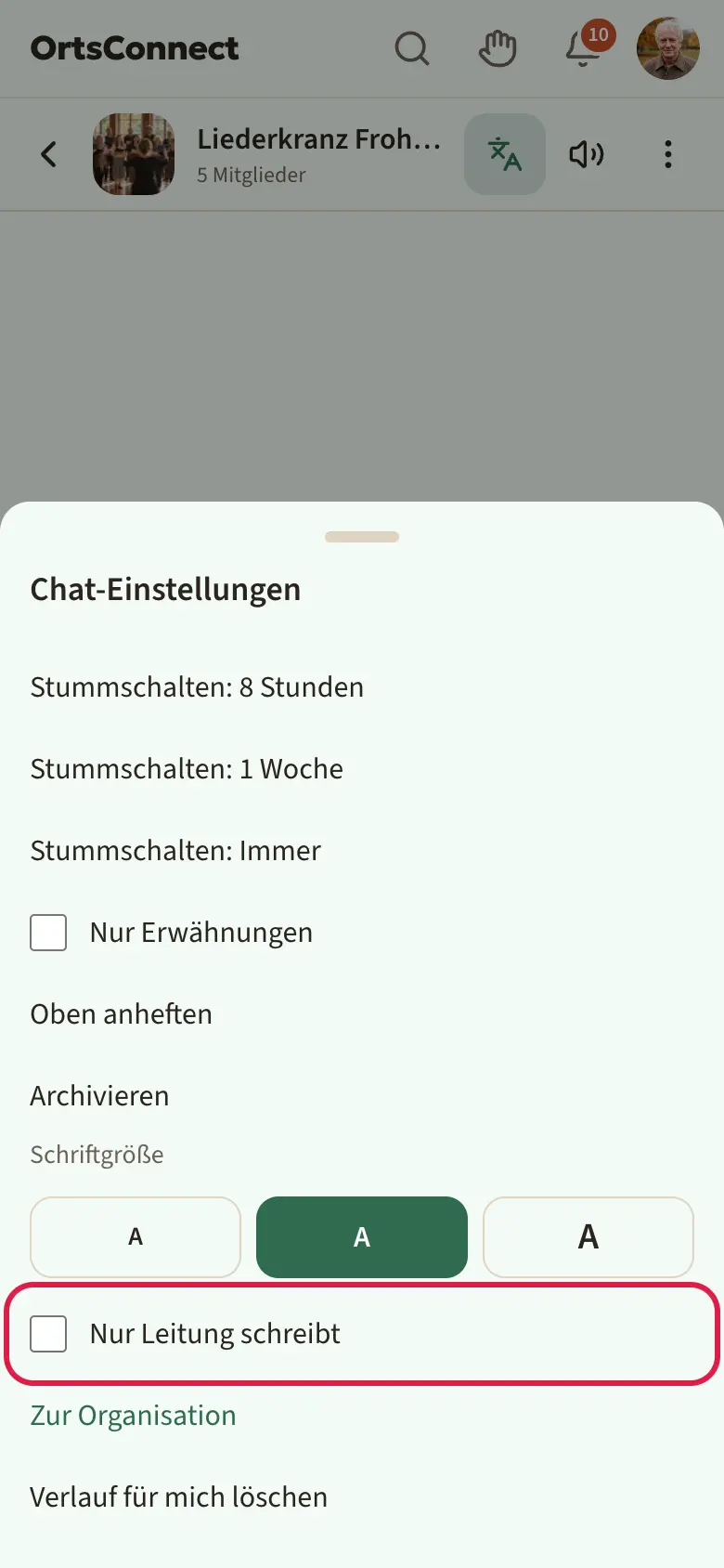 Gruppenchat mit geöffneten „Chat-Einstellungen“, Haken „Nur Leitung schreibt“ markiert