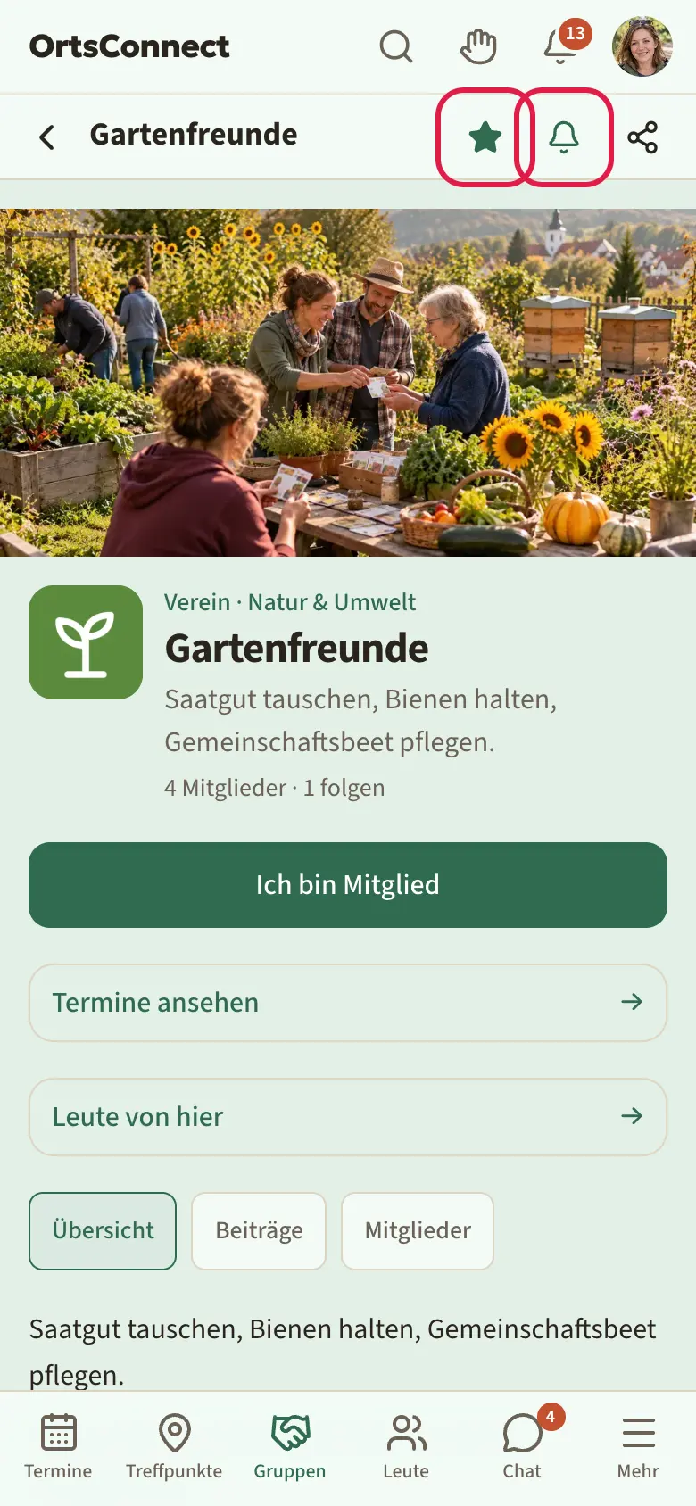 Seite einer Organisation, oben im Seitenkopf der ausgefüllte Stern und daneben die Glocke markiert, darunter Titelbild und Name der Organisation