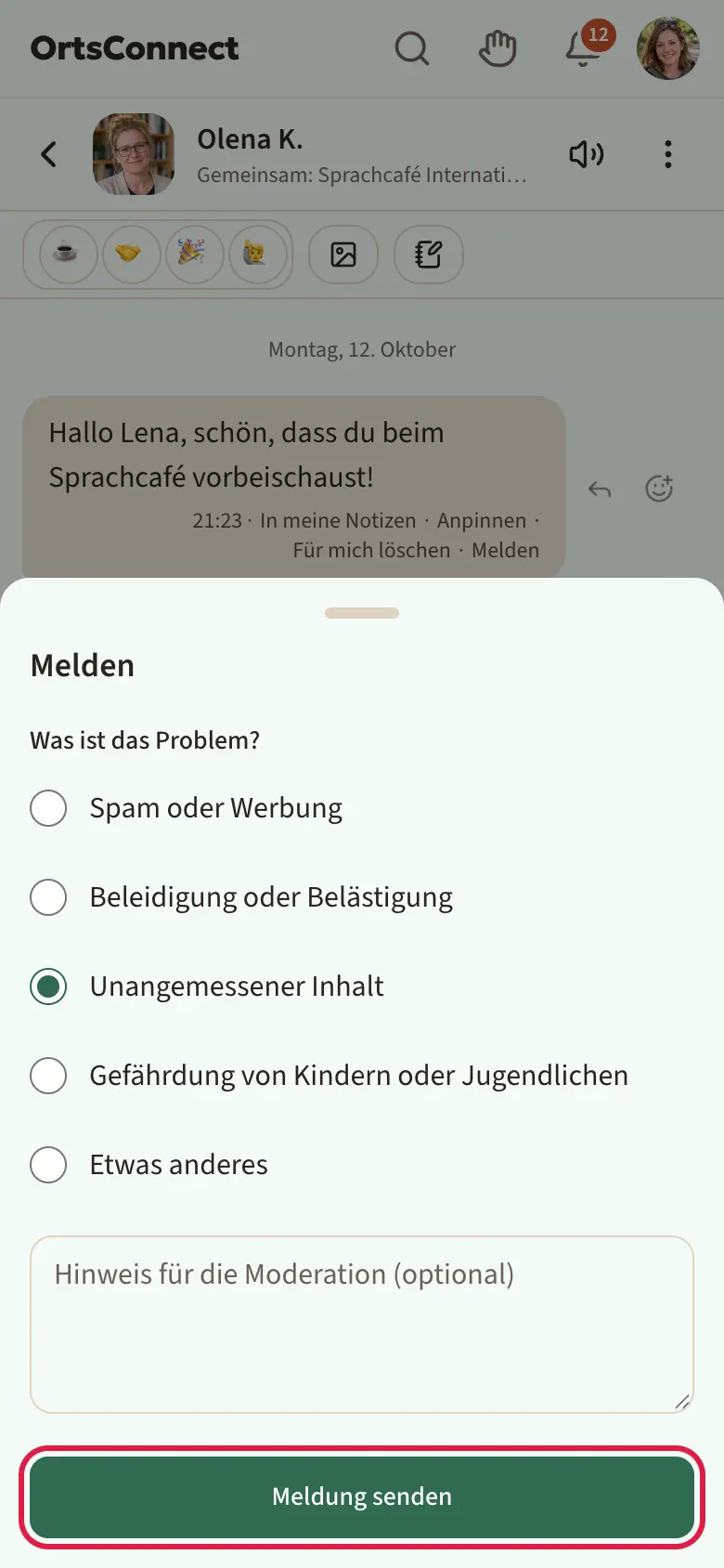 geöffnetes Fenster „Melden“ mit den fünf Gründen als Auswahlpunkte (Unangemessener Inhalt ausgewählt), darunter das Hinweisfeld und der Knopf „Meldung senden“ markiert
