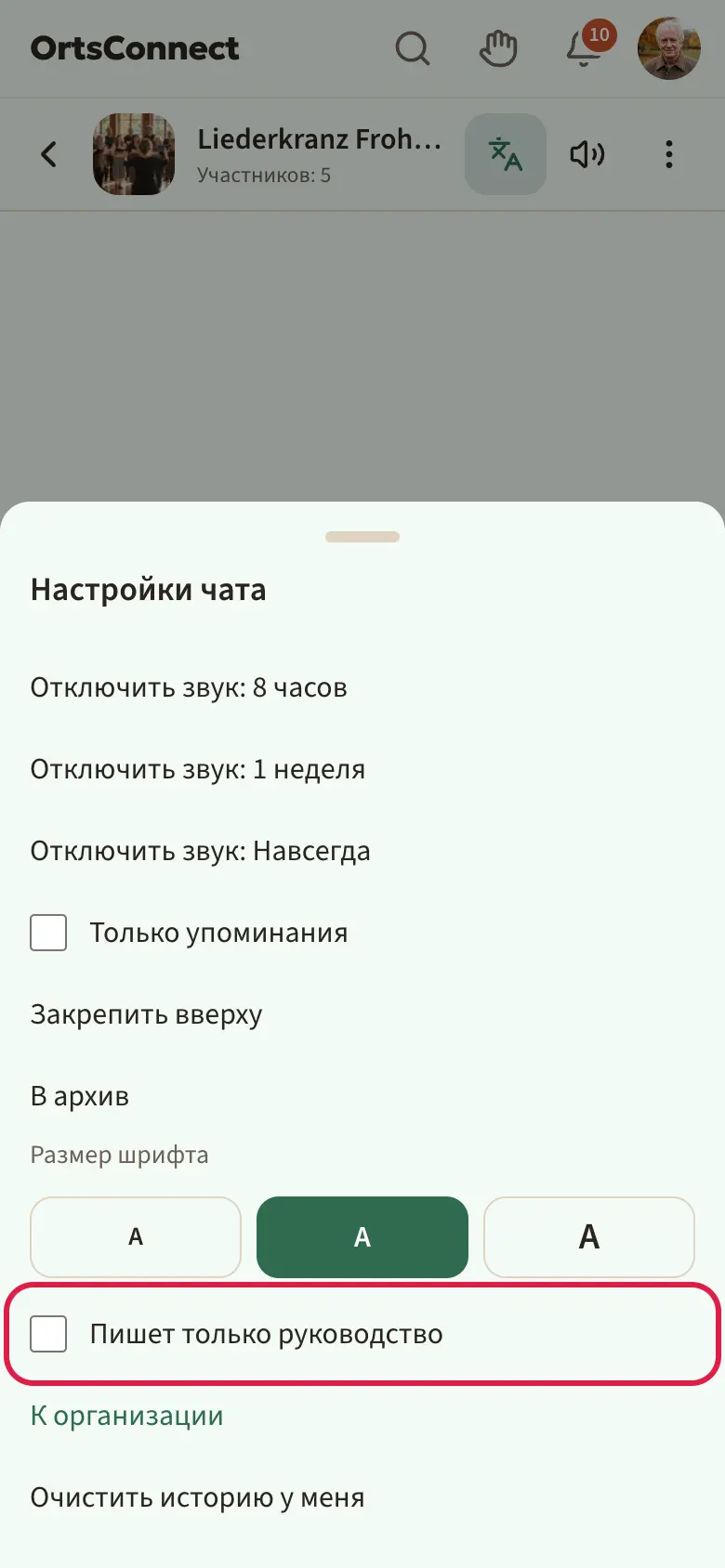 групповой чат с открытыми «Настройки чата», галочка «Пишет только руководство» выделена