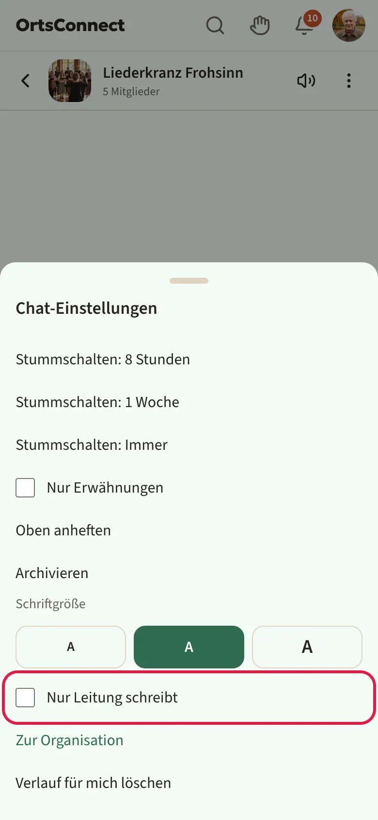 Gruppenchat mit geöffneten „Chat-Einstellungen“, Haken „Nur Leitung schreibt“ markiert